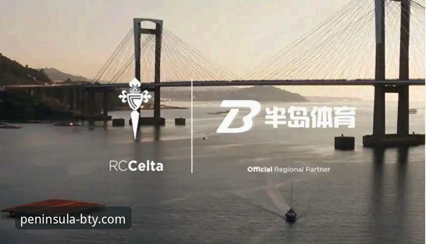 资深用户亲测:半岛体育A9B2安卓版实战经验与深度解析