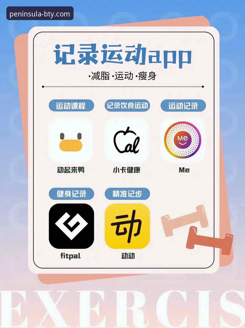 选择运动应用的5个关键维度：半岛体育靠谱吗手机版实测分析